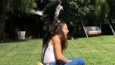 Jennifer Garner accosted by chicken