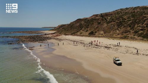 Police searching the South Australian beach after two bones were found.