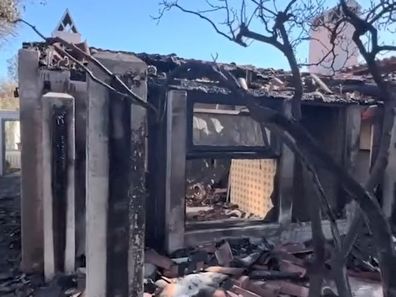 Rainn Wilson shows aftermath of house after it was damaged in a mountain fire