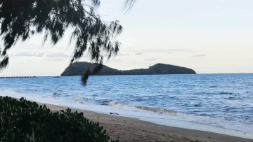 The boating accident happened near Double Island, Port Douglas.