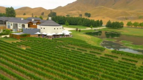 New Zealand wines are outselling their Australian rivals in the US. (9NEWS)