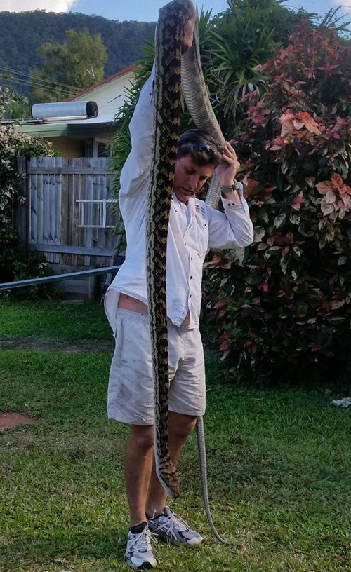 Watch: Reptile wrangler removes snake from toilet at Australian