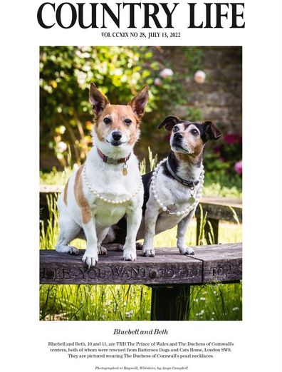 Camilla's own pet pooches Bluebell and Beth, both rescue animals from Battersea Dogs & Cats Home, appearing in the mag draped in pearls.