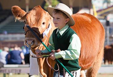 Brisbane Showgrounds, the home of the Ekka, is situated in which suburb?