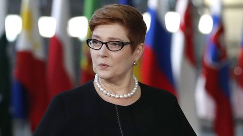 Foreign Minister Marise Payne only learned of the decision to review Australia's Israel policy two days before Scott Morrison's announcement. 