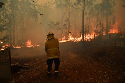 RFS volunteers and NSW Fire and Rescue officers protect a home on Wheelbarrow Ridge Road being impacted by the Gospers Mountain fire near Colo Heights south west of Sydney, Tuesday, November 19, 2019. (AAP Image/Dean Lewins) 