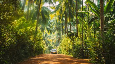 Goa, India. Car Moving On Road Surrounded By Palm Trees In Sunny Day.
