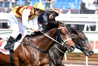 His colt, Preferment, was the first maiden to win in over two decades. (AAP)