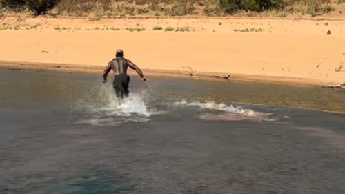 A popular American influencer is facing a fine after posting a video of himself grabbing a crocodile in ï»¿Far North Queensland. 