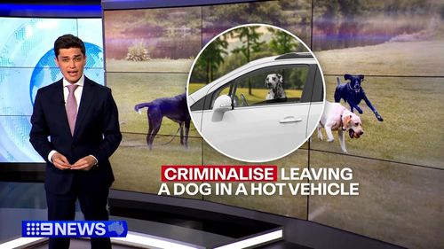 O governo de Nova Gales do Sul propõe mudanças na lei para criminalizar a saída de d