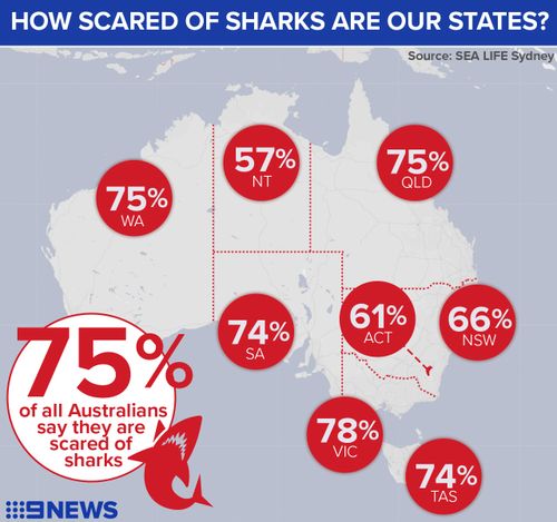 Shark Attack Infographics: Why you don't need to be afraid of sharks.