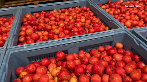 S﻿upermarkets have rejected 20,000 kilograms of pomegranates with "purely aesthetic" damage after a freak summer hail storm swept through a Victorian growing region.