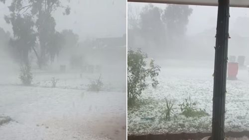 Hail almost appears to blanket grass in a Tamworth front yard like snow.