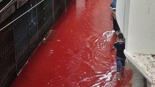 Streets in Dhaka turned red after Eid al-Adha celebrations. (Twitter)