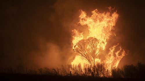 Bushfires in Australia, on the outskirts of Canberra, during black summer.