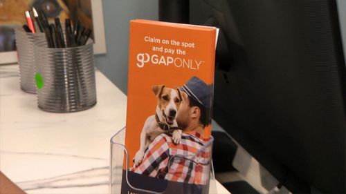 Gap only pet insurance is a new service to help pet owners pay bills.