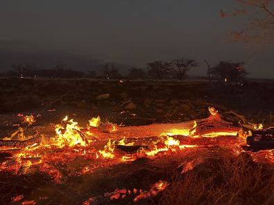 Hawaii wildfires