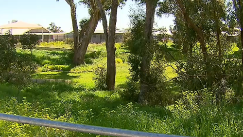 The primary school is surrounded by bushland. 