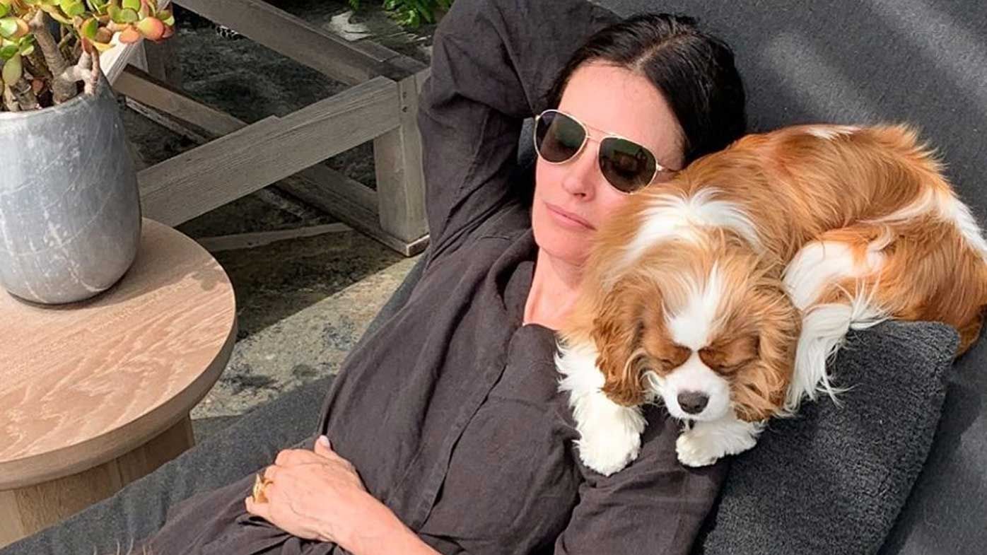 Courteney Cox's dogs rescued by kind stranger in Los ...