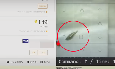 YouTuber's Pet Fish Commit Credit Card Fraud while playing video game