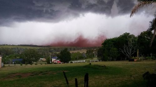 A huge dust cloud in Tingoora. (Facebook/Barry Collins)