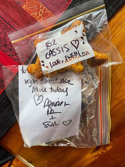 Homemade dog treat deliveries