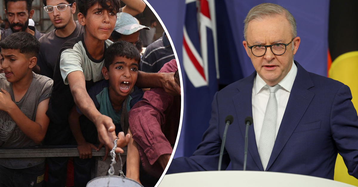 Albanese condemns Israel's denial of aid in Gaza as indefensible