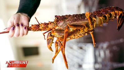 A Sydney restaurant has been taken to the Federal Court by a family of influencers who claim it defamed them by accusing them of refusing to pay for their lobster dinner.