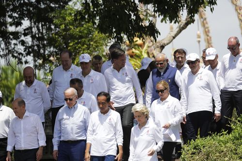 World leaders are in Bali for the G20 Summit.