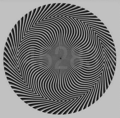 Optical illusion proves to be a mind-bender: What do you see? - 9Honey