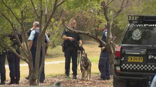 PolAir, the dog squad and the tactical response squad were among multiple police resources.