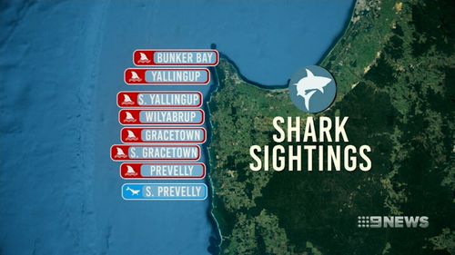 There has been a spike in shark attacks and sightings along the South West coastline in recent months. (9NEWS)