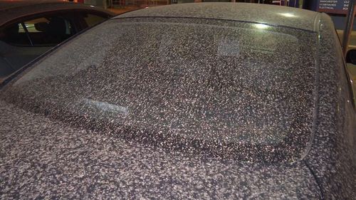 Cars have been covered in a thick layer of dust across Sydney this morning.