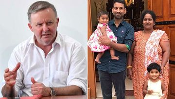 Anthony Albanese has called for the Tamily family to be allowed to stay in Australia.