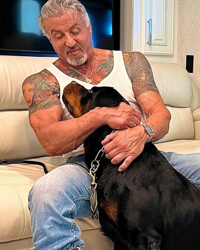 Tatuazhet e Sylvester Stallone.  Sylvester Stallone dhe qeni Dwight.