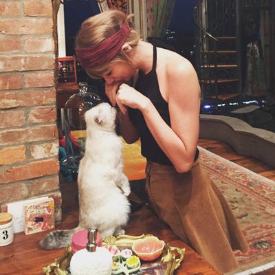8. Taylor Swift and her cat Olivia. Seeing a trend yet? Likes: 2.3 million. Comments: 36.1k.