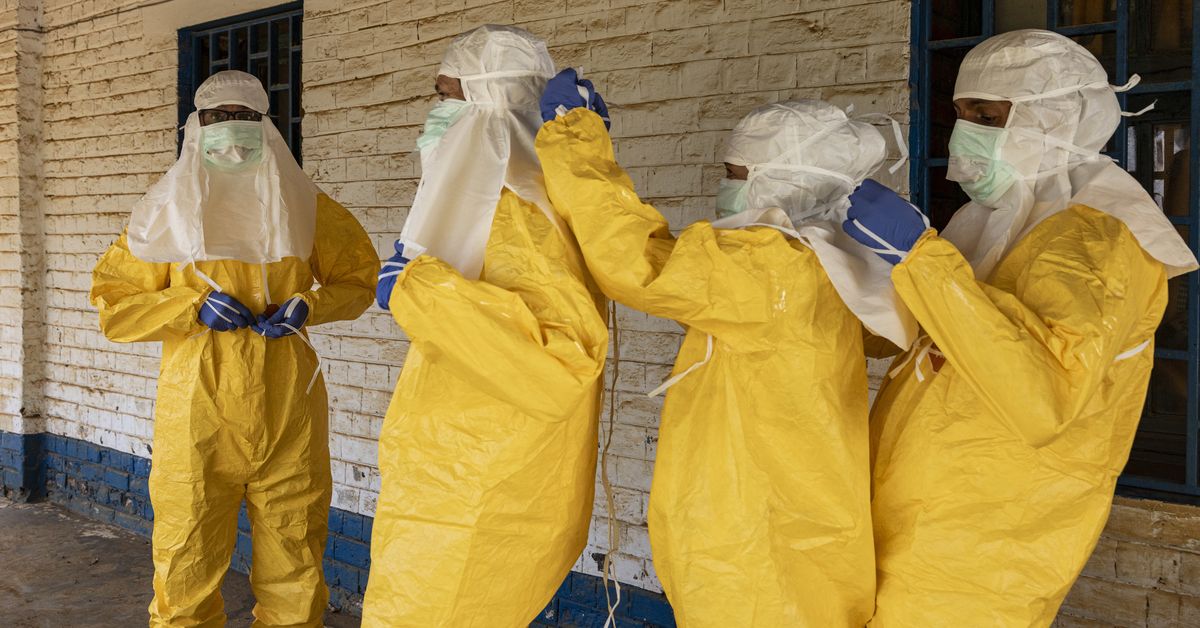 'This is serious': WHO boss's plea to locals, rebels over Ebola outbreak