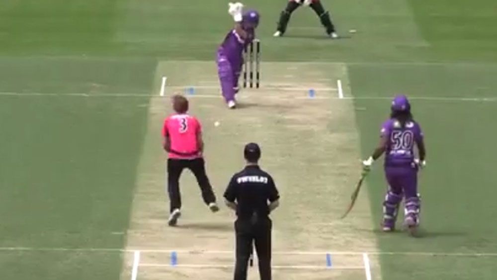 Series of one-handed screamers in WBBL