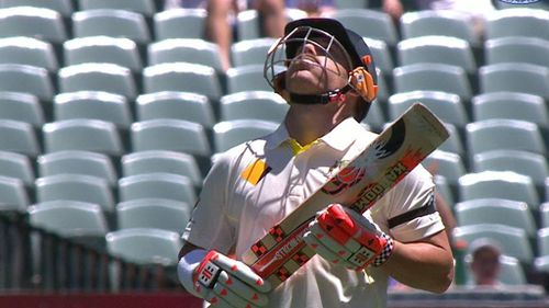 Warner looked to the skies upon reaching 63 not out. (9NEWS)