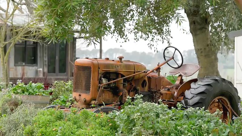 Torello Farm offers a piece of nostalgia | Nine.com.au