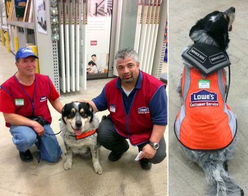 Canadian home improvement store hires man with brain injury and service dog