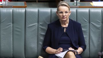 Deputy Liberal Leader Sussan Ley during Question Time on Thursday 3 August 2023.
