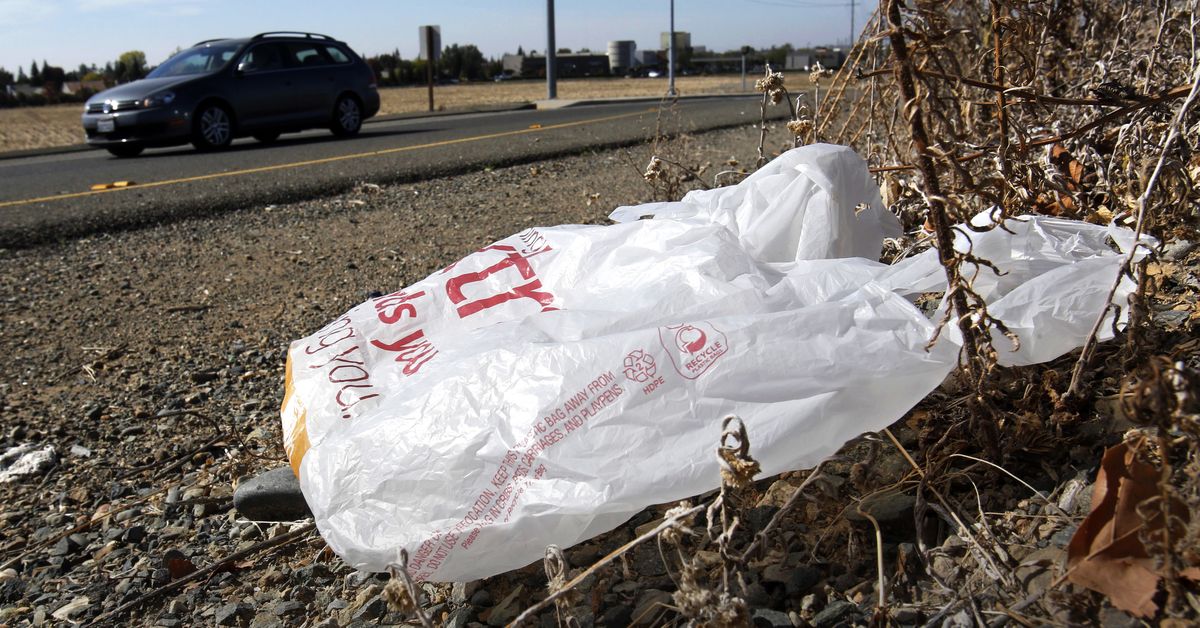 US state enacts total ban on plastic shopping bags