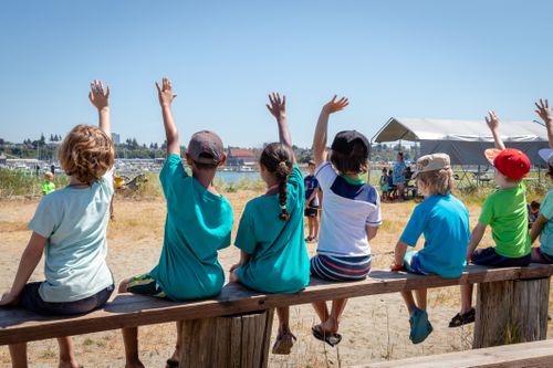 Students holding their hands up to volunteer or ask questions of their teacher at an outdoor nature class. 