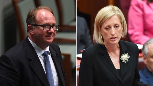 David Feeney and Katy Gallagher will have their citizenship cases heard. (AAP)