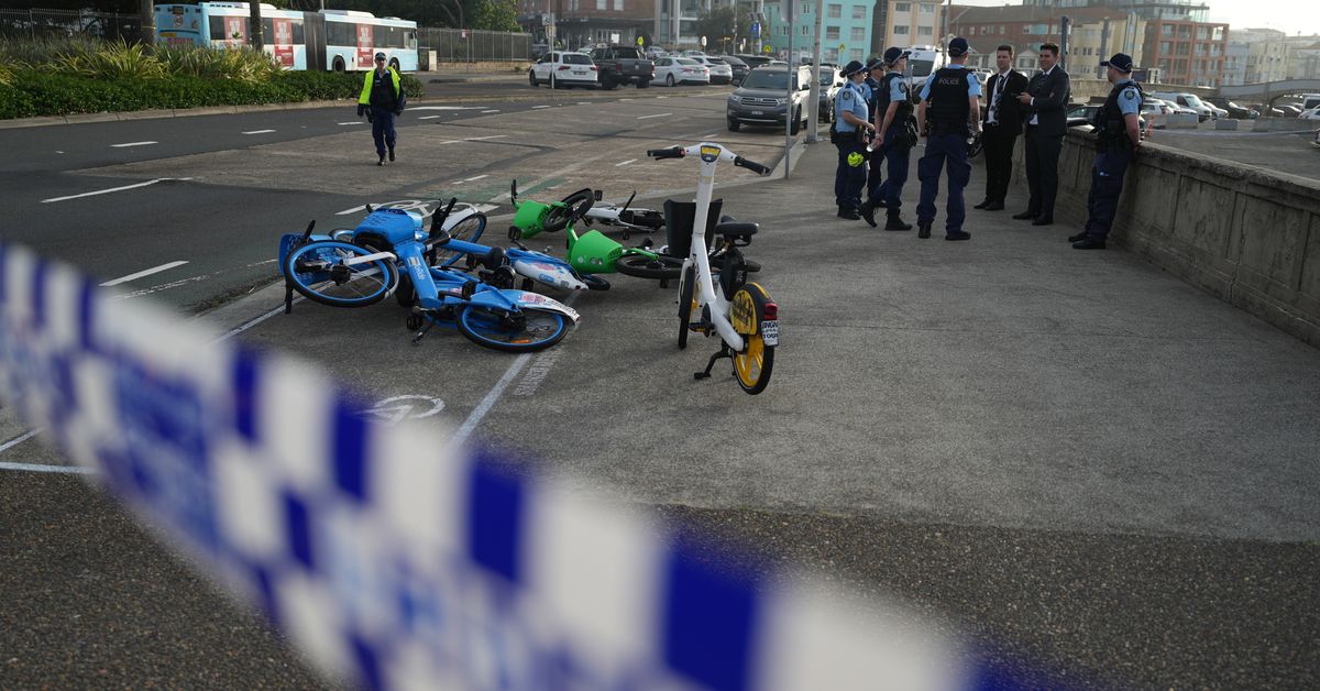 French citizen identified as victim of Bondi shooting attack