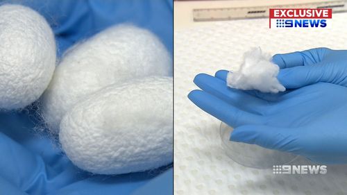 Australian researchers are using silk  as a thread to weave blood vessels - and the breakthrough is showing promise. (9NEWS)