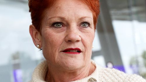 One Nation leader Pauline Hanson said she won't support the government's proposed legislation slashing company taxes until it agrees to "go after multinationals". Picture: AAP