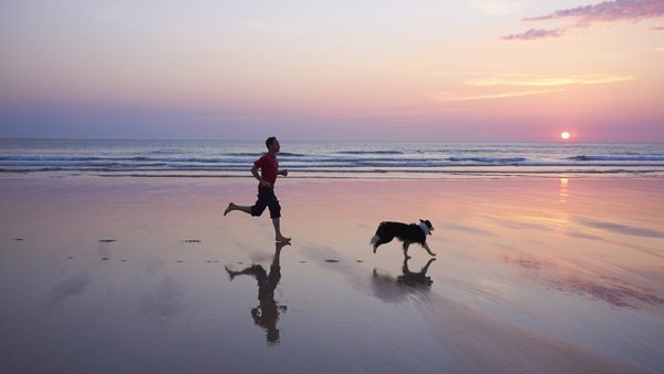 dog beach