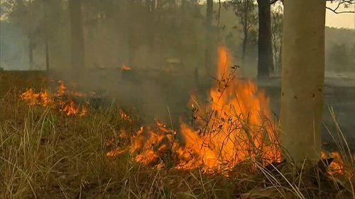 Further hot weather is forecast to hit NSW in coming days.